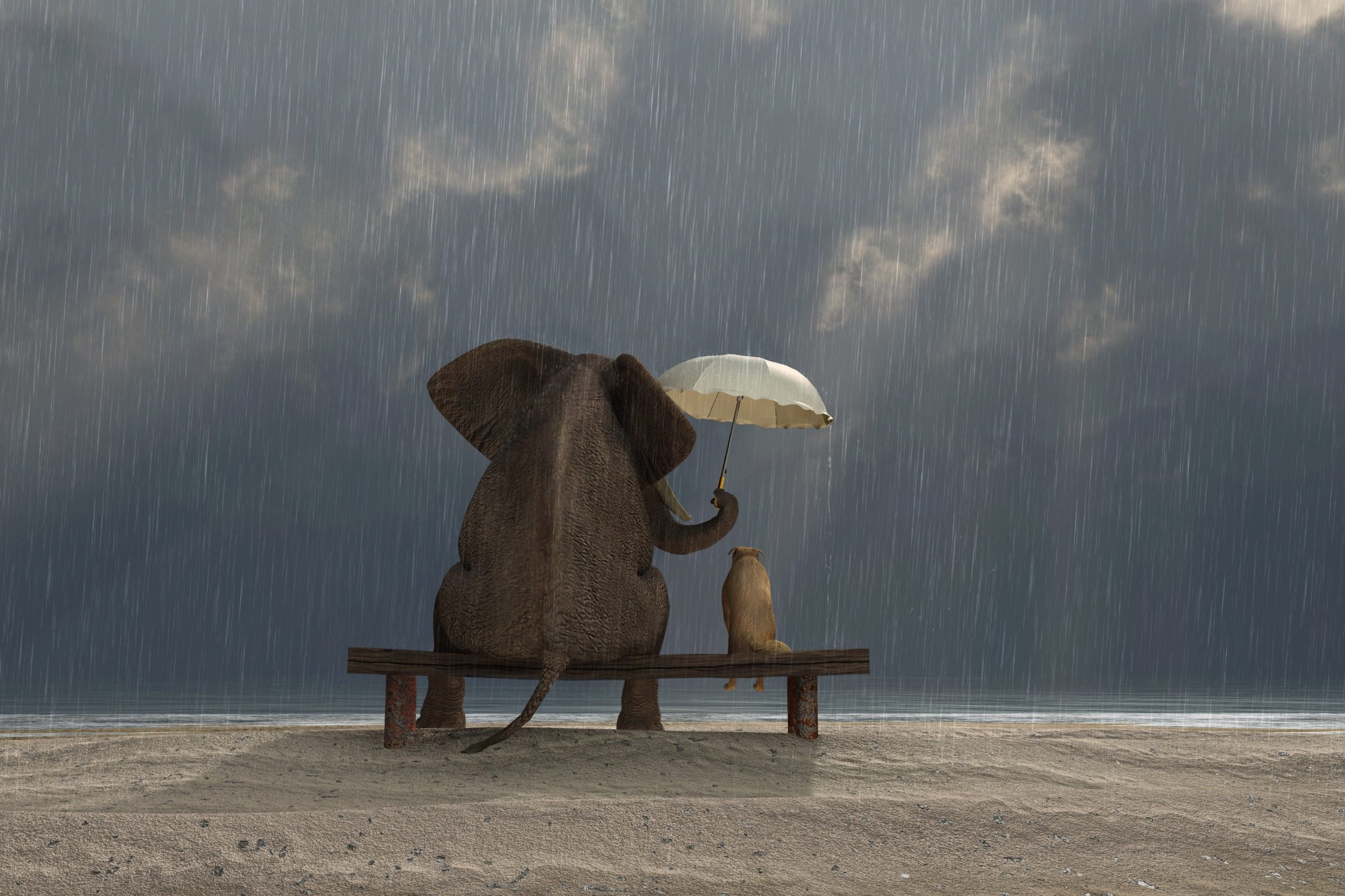 Elephant and dog sit on bench sheltering under umbrella